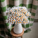 belles-camomilles-papier