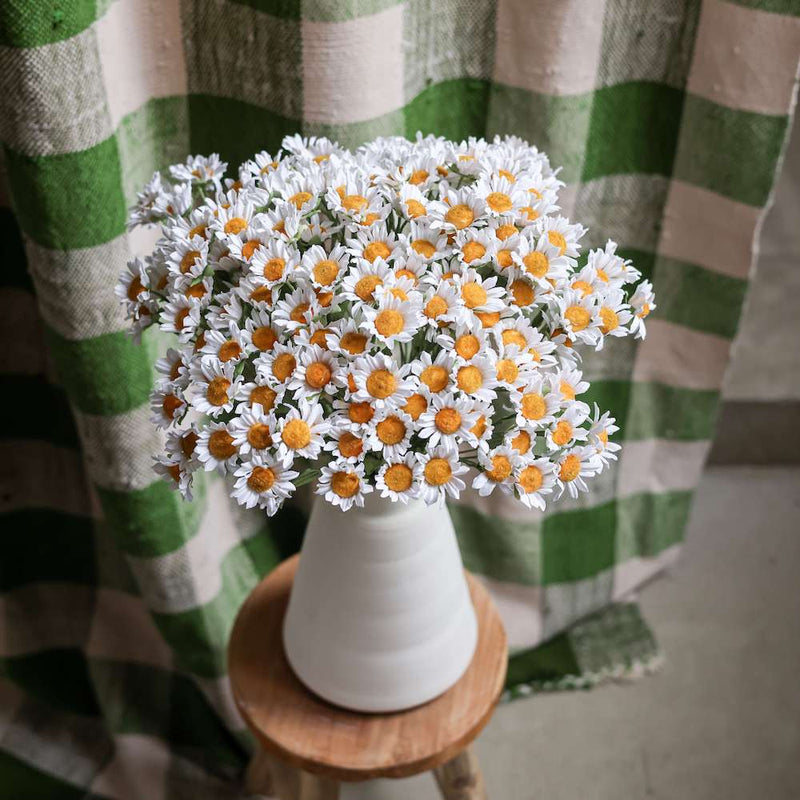 belles-camomilles-papier