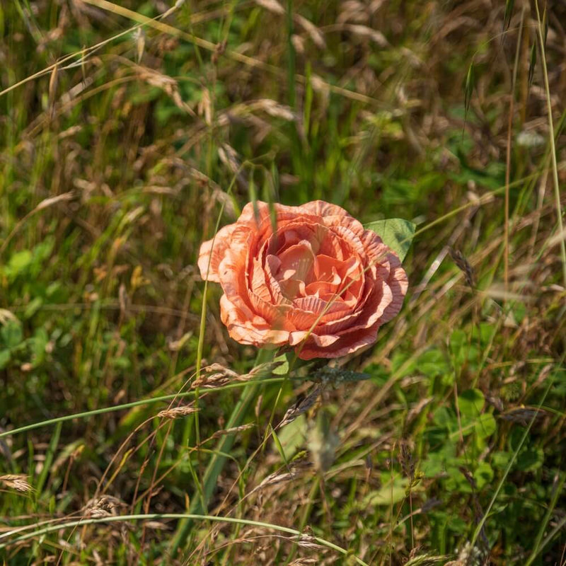 fleur-papier-flowrette-camelia-orange