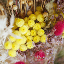 bouquet-fleurs-sechee