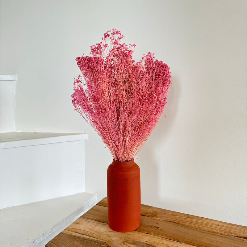 Botte fleurs séchées Broom bloom Lilas