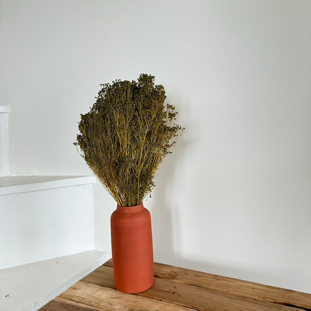 Botte fleurs séchées Broom bloom Vert olive