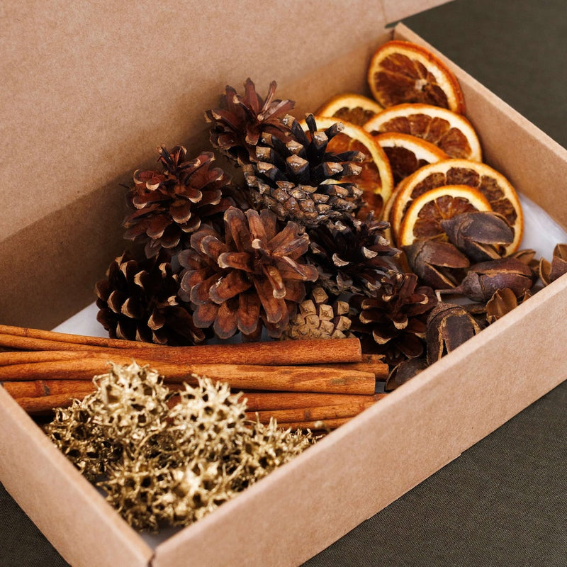 Coffret Décoration de Noël Naturelle