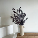 Botte fleurs séchées Eucalyptus Cinerea Bordeaux