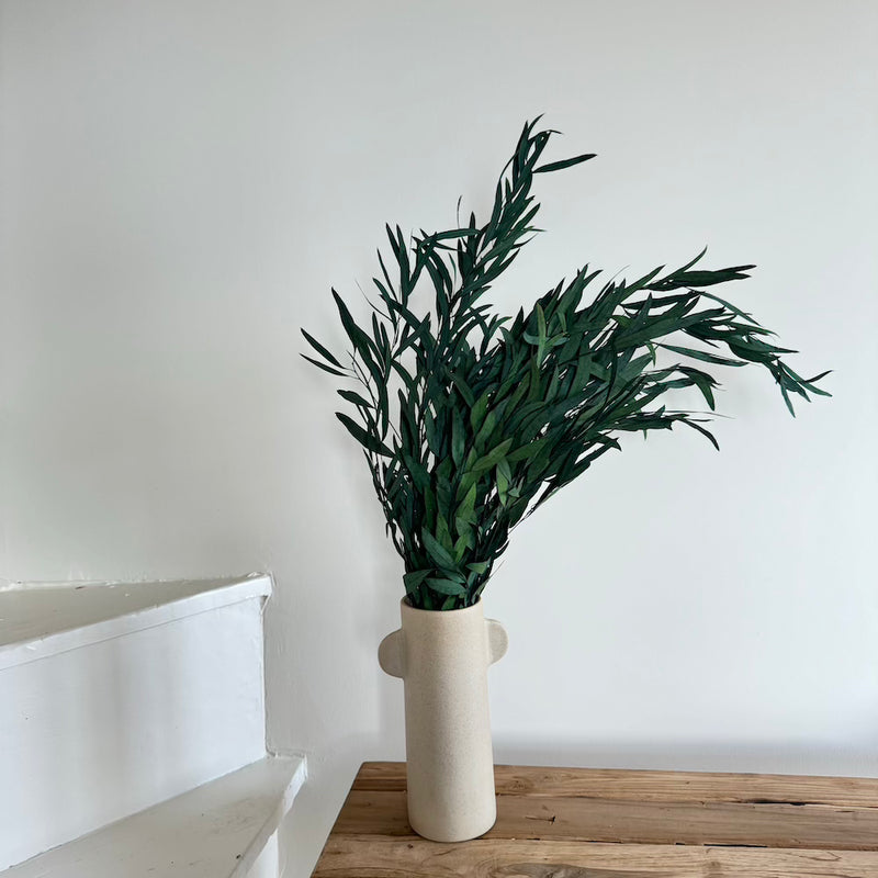 Botte fleurs séchées Eucalyptus Nicoli Vert