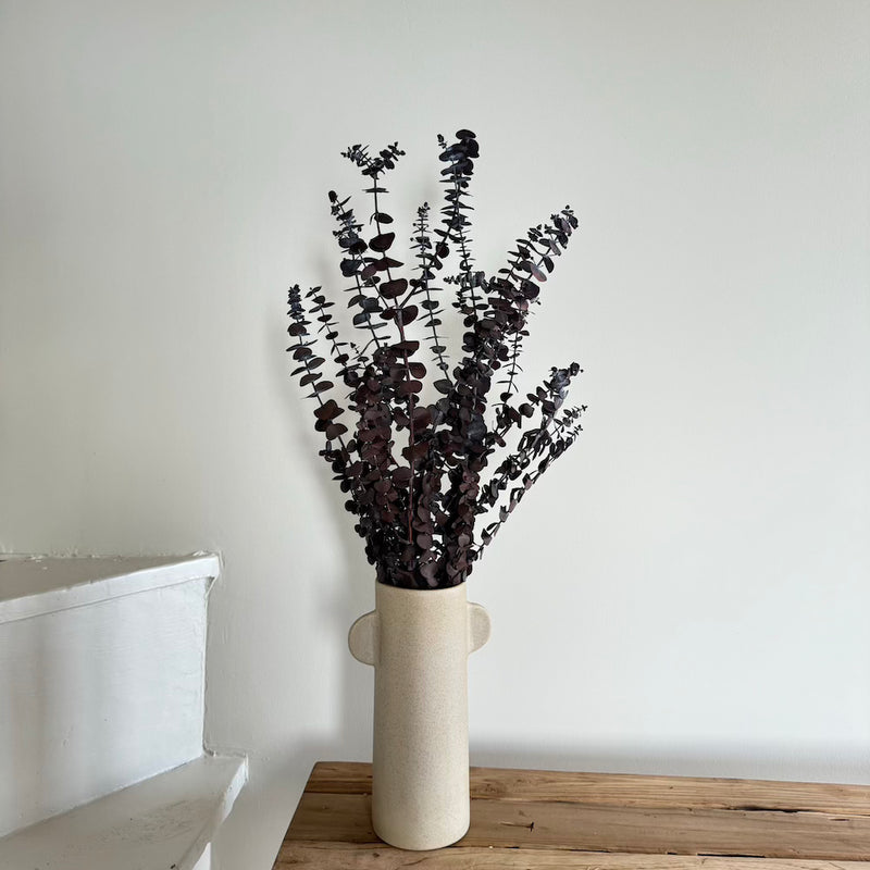 Botte fleurs séchées Eucalyptus Baby Bordeaux