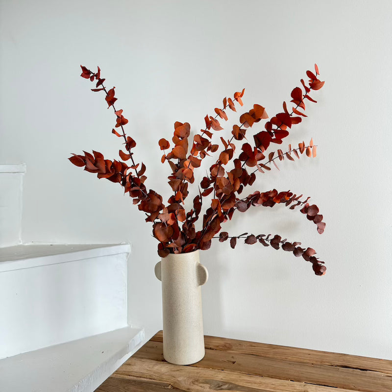 Botte fleurs séchées Eucalyptus Stuartiana Orange
