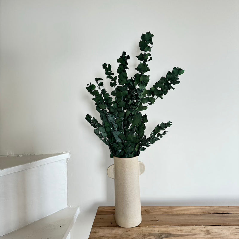 Botte fleurs séchées Eucalyptus Stuartiana Vert