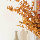 Botte fleurs stabilisées eucalyptus stuartiana jaune stabilisé