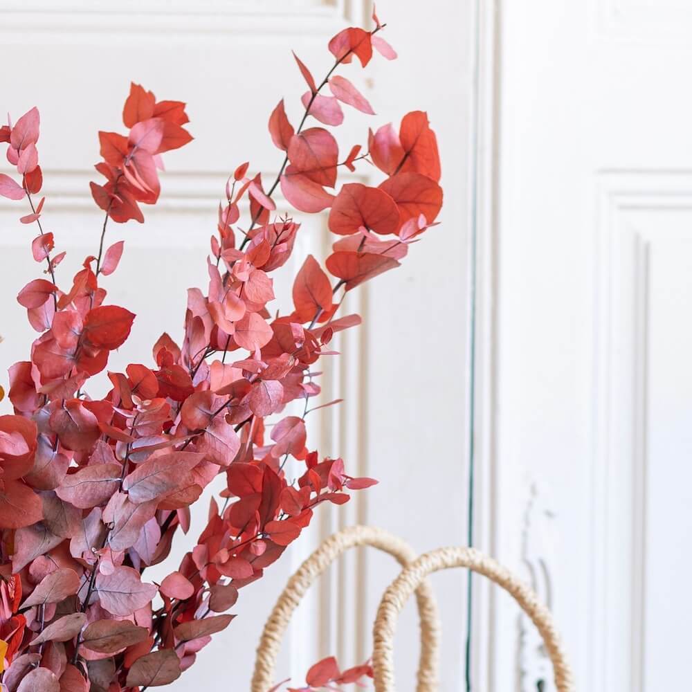 Botte fleurs stabilisées eucalyptus stuartiana rouge stabilisé