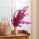 Botte fleurs stabilisées eucalyptus stuartiana rubis stabilisé