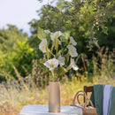 fleur-papier-flowrette-morgning-glory-fleur