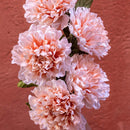 fleur-papier-flowrette-dalia-corail-colore