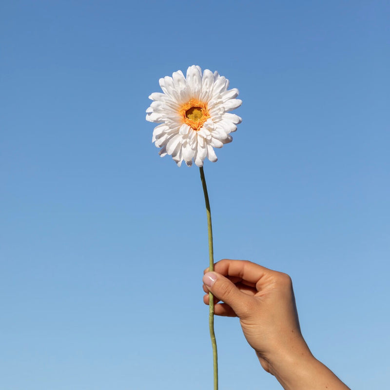 fleur-papier-flowrette-design-gerbera-blanc