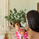 fleur-papier-flowrette-eucalyptus-popolus