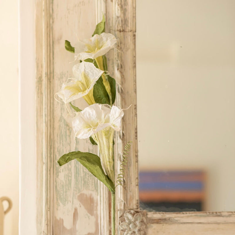 fleur-papier-flowrette-morgning-glory-fleur