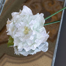 fleur-papier-flowrette-pivoines-blanches