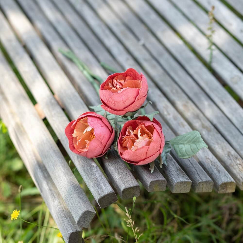 pivoine-jardin-fleur-papier-flowrette-corail