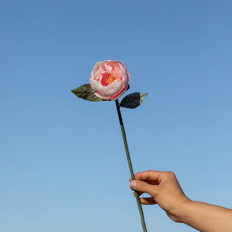 fleur-papier-flowrette-pivoine-jardin-couleur-peche