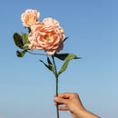 fleur-papier-flowrette-rose-caroline