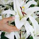 White lilies