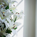 White lilies