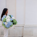 Light blue hydrangea