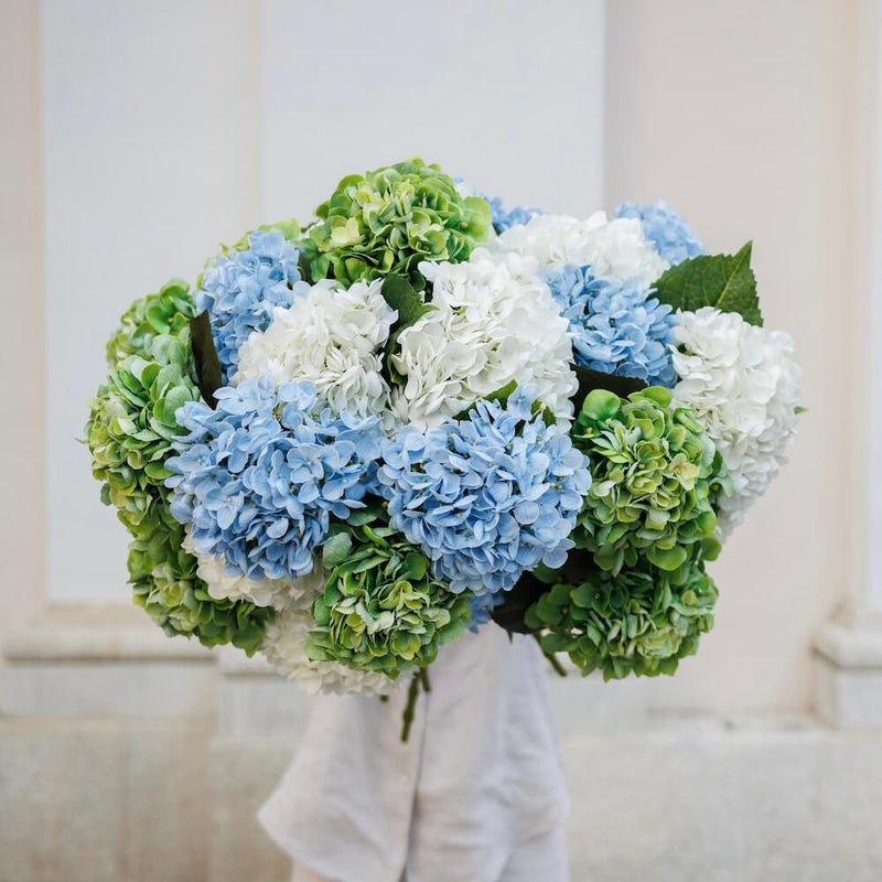 Light blue hydrangea