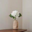 Light blue hydrangea