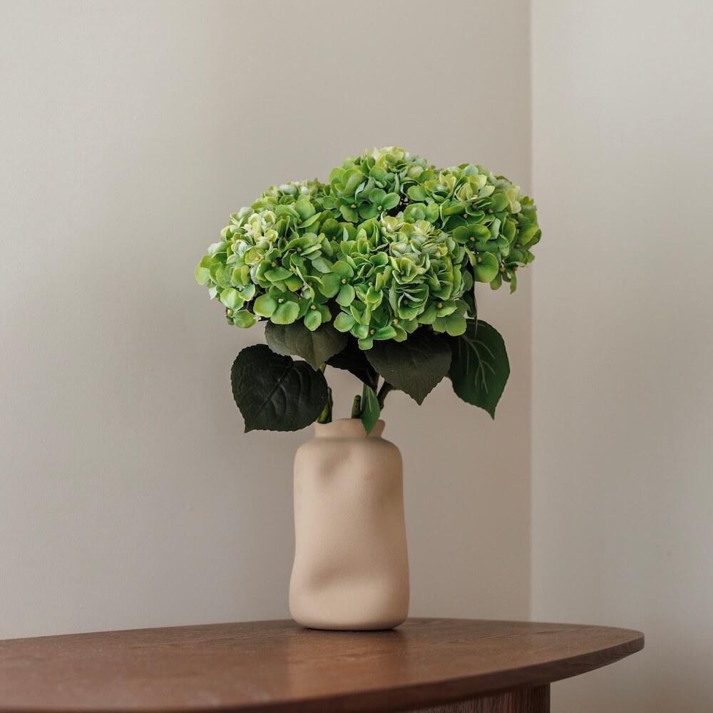 Green hydrangea