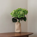 Green hydrangea