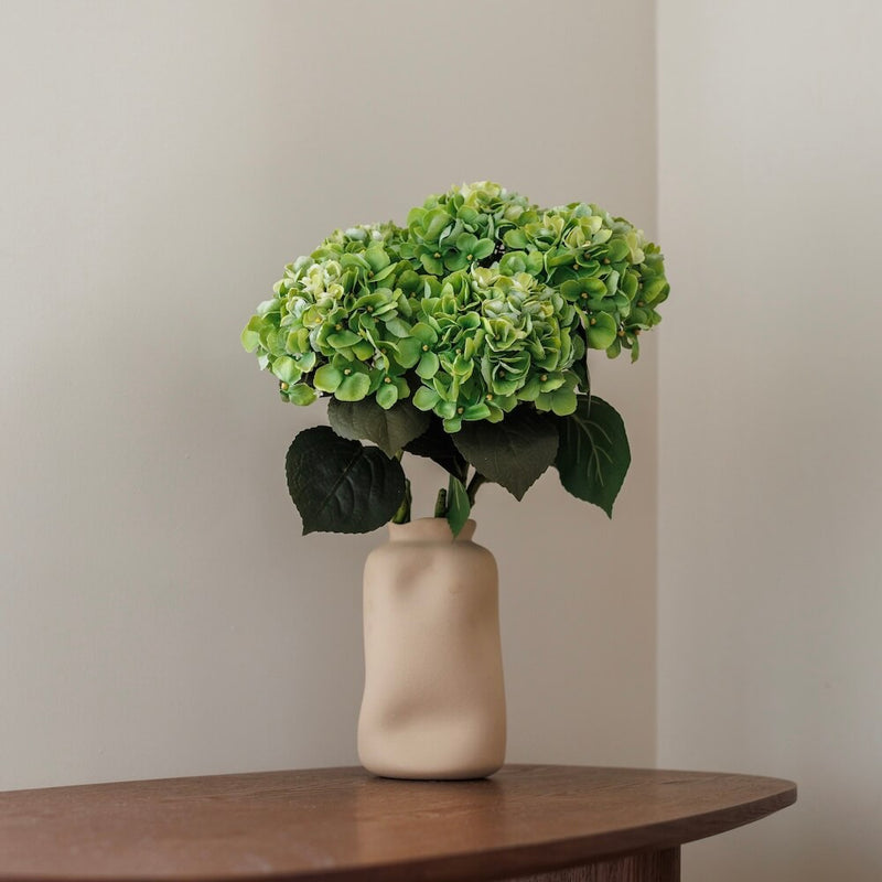 Green hydrangea