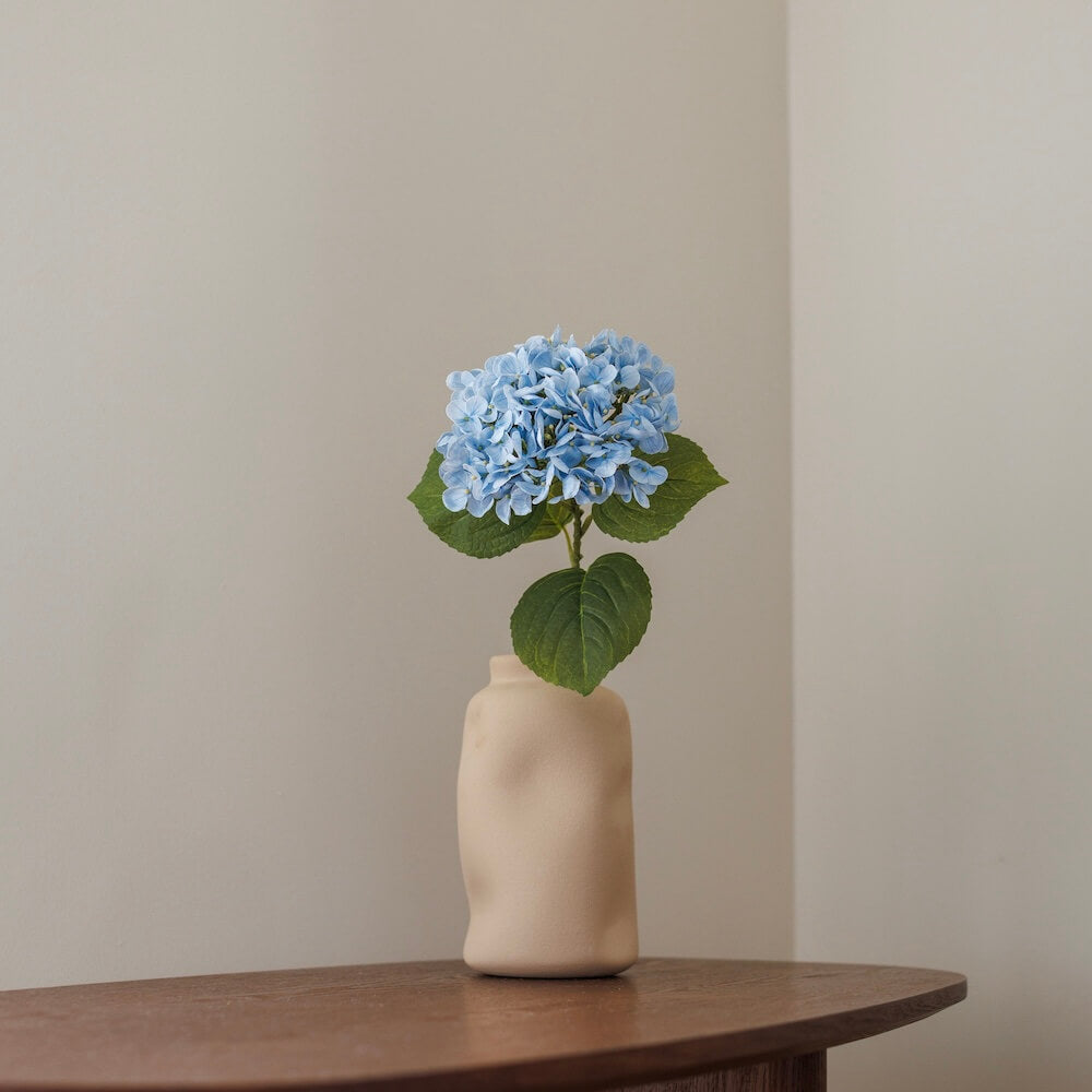 Light blue hydrangea