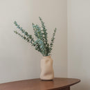 Eucalyptus Baby Green