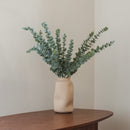 Eucalyptus Baby Green