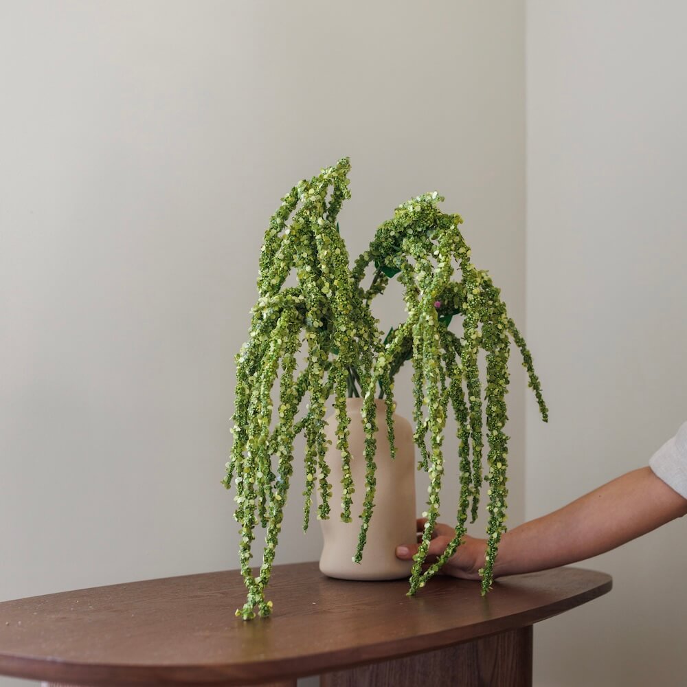 Grande amarante tombante verte 