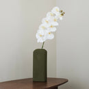White orchid