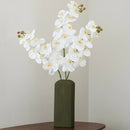 White orchid