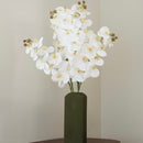 White orchid