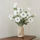 White anemone