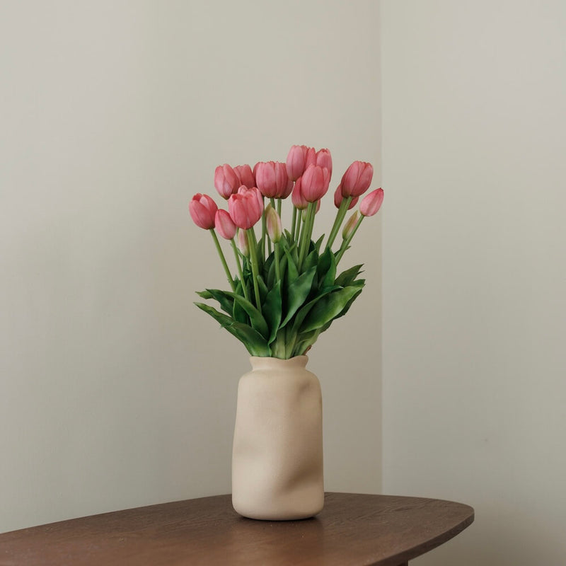 Pink tulip