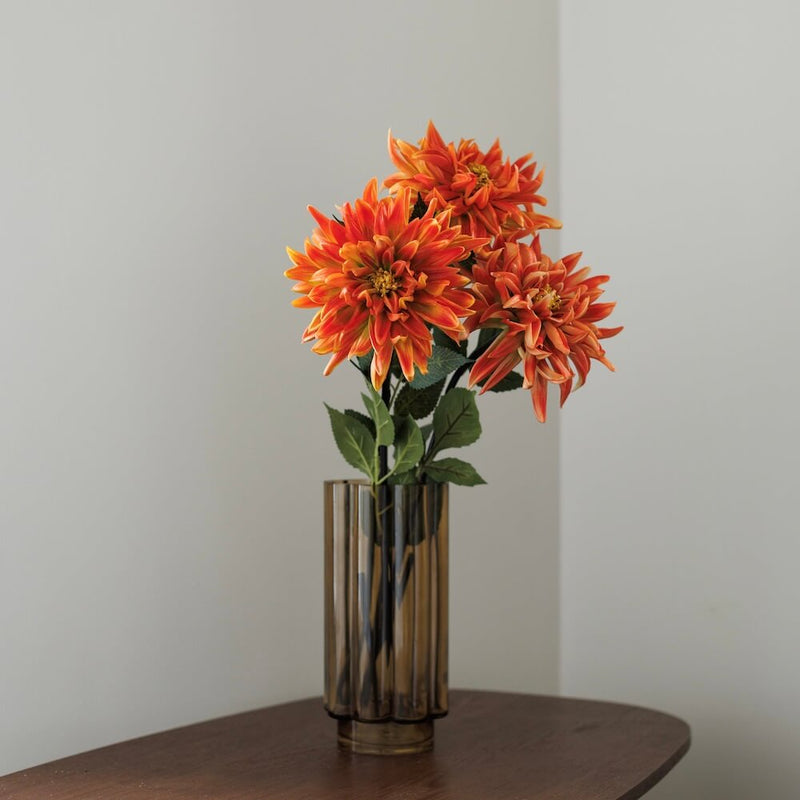 Dahlia Orange