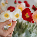 White artificial poppy