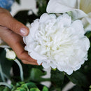 White peony