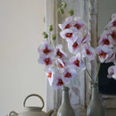orchidee-papier