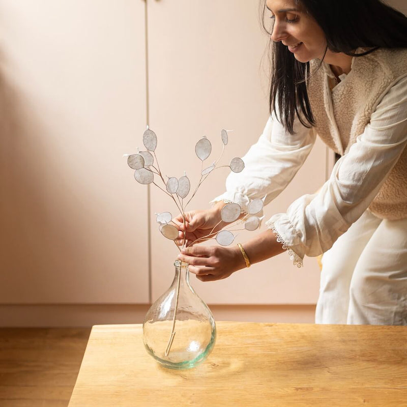 monnaie-du-pape-papier