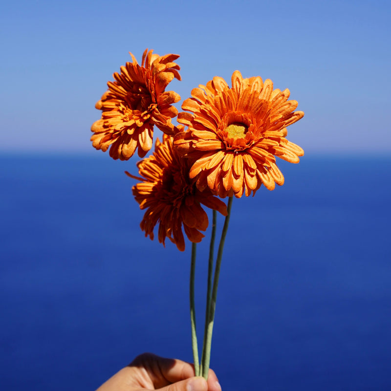 fleurs-en-papier-flowrette-gerbera