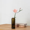 fleurs-en-papier-flowrette-beaux-lisianthus-rose