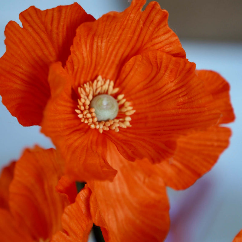 fleurs-en-papier-flowrette-pavot