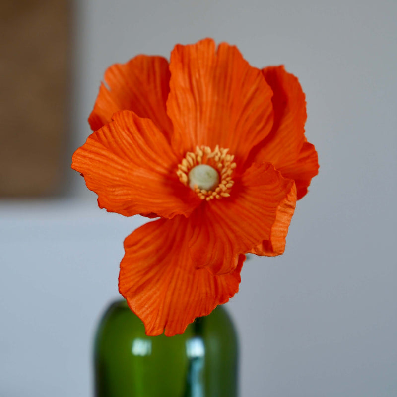 fleurs-en-papier-flowrette-pavot